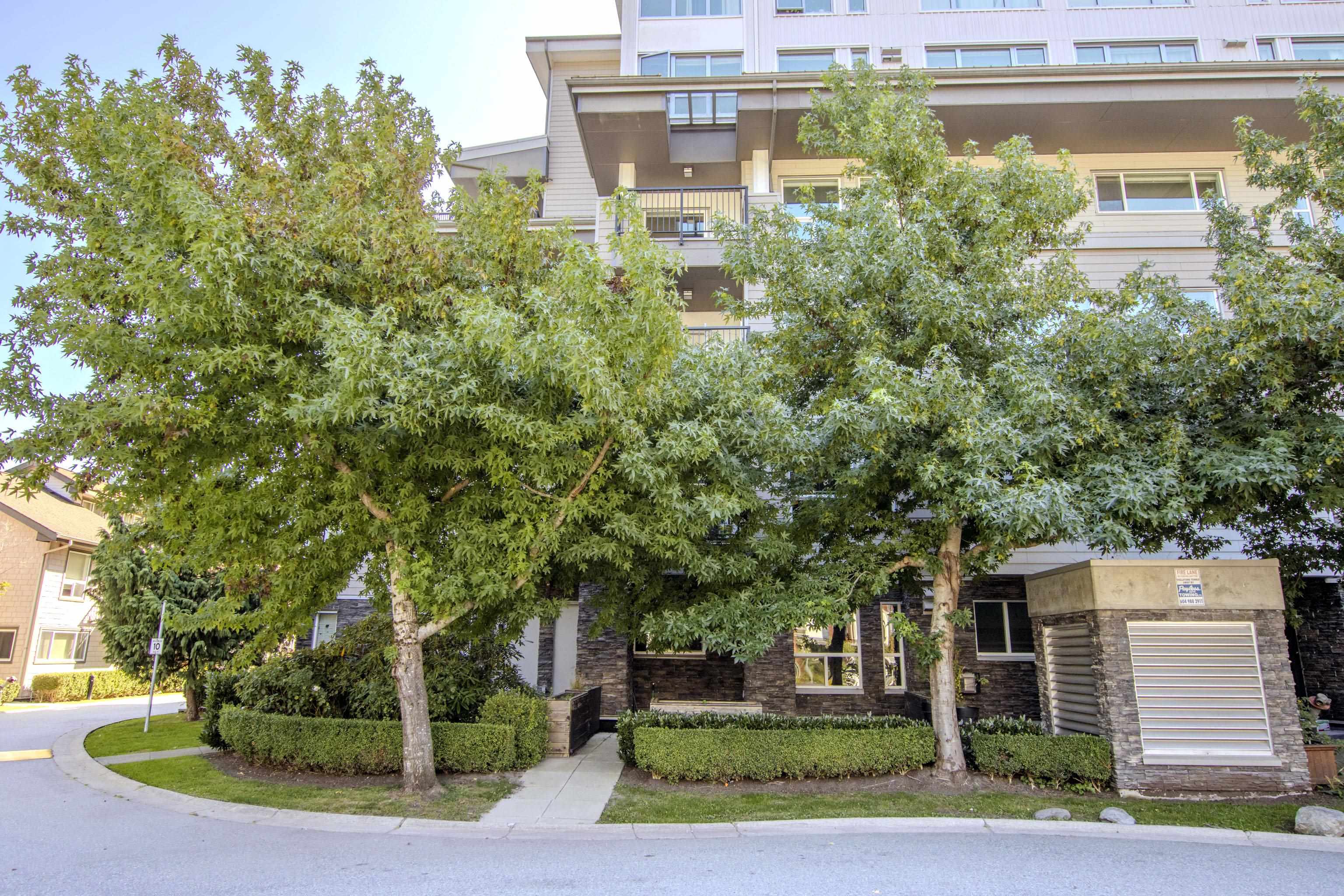 115 1212 Main Street